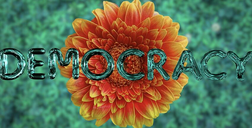 An orange flower against a green background with the word DEMOCRACY in front.